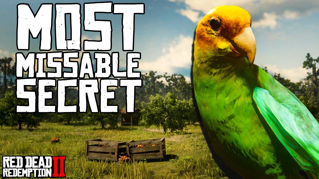 Carolina Parakeets – The Rarest Secret in the Game (Red Dead Redemption 2)