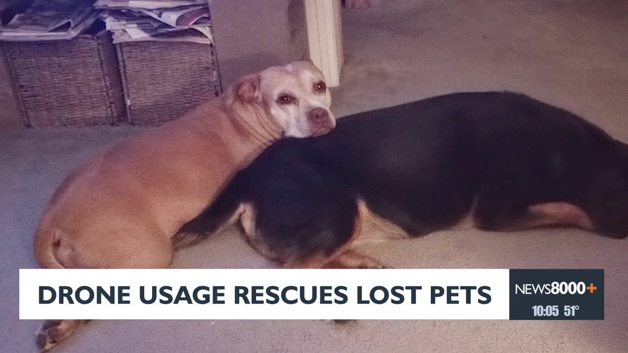 Drone usage rescues lost pets