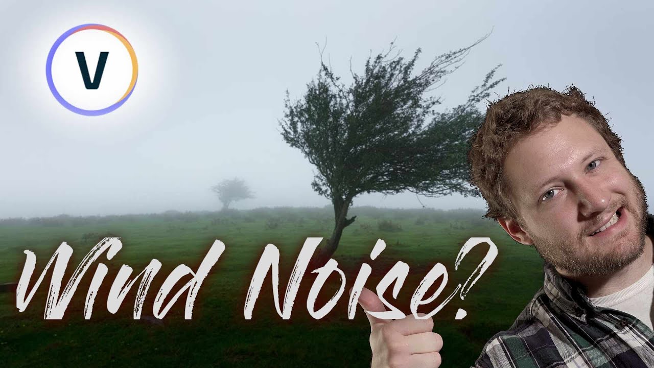 How to Reduce Wind Noise in Vegas Pro 19
