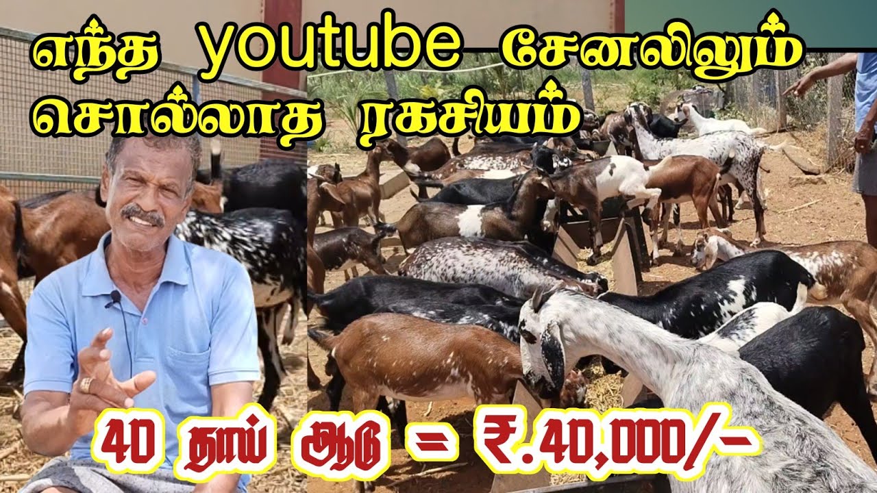 மாதம் ₹.40,000 வேண்டுமா? எந்த youtube சேனலிலும் சொல்லாத ரகசியம்/ Ex.police officer experience