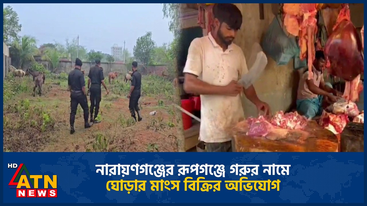নারায়ণগঞ্জের রূপগঞ্জে গরুর নামে ঘোড়ার মাংস বিক্রির অভিযোগ | Horse meat | Allegations | Rupganj