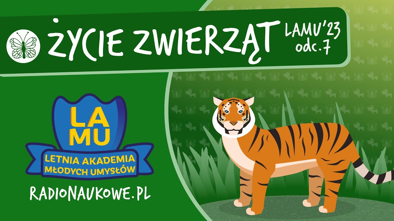 Skąd tygrys wie, gdzie ma iść, kiedy chodzi po lesie? Odcinek zwierzęcy | LAMU’23 | odc. 7