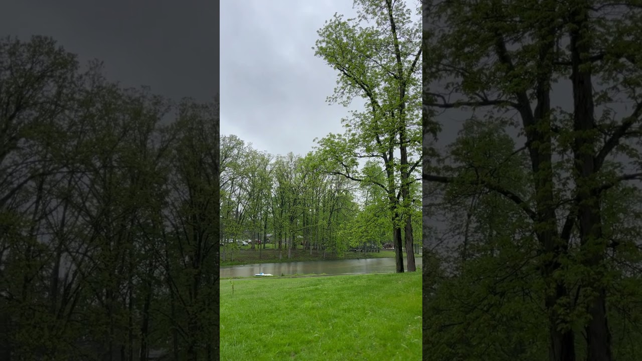 Oregonia Ohio. 그댄 봄비를 무척 좋아하나요- 배따라기