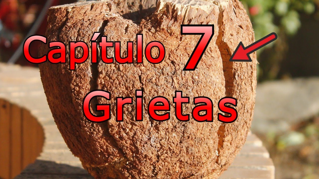Torneado de madera con grietas, capitulo 7, curso de torneado