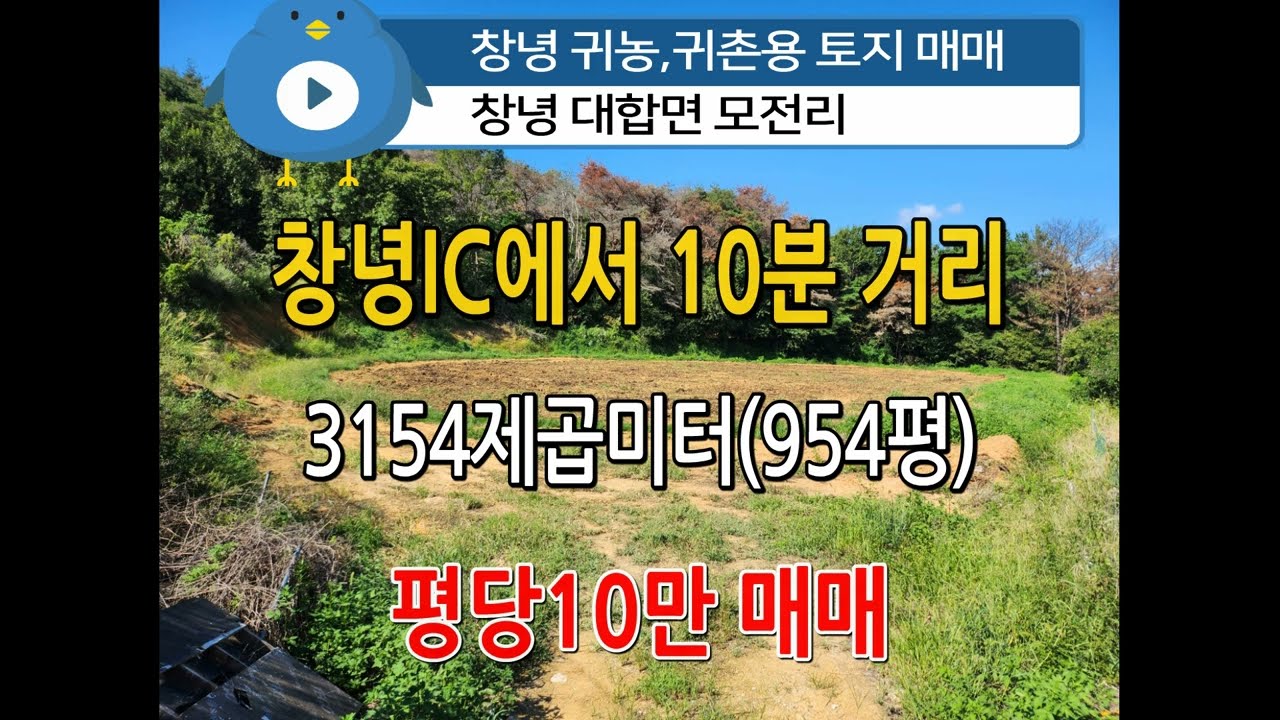 n843, 창녕 대합면 모전리 귀농, 귀촌 토지 3154제곱미터(954평) 매매, 평당10만, 문의:010-4750-7880 #창녕땅 #창녕토지 #귀농귀촌토지