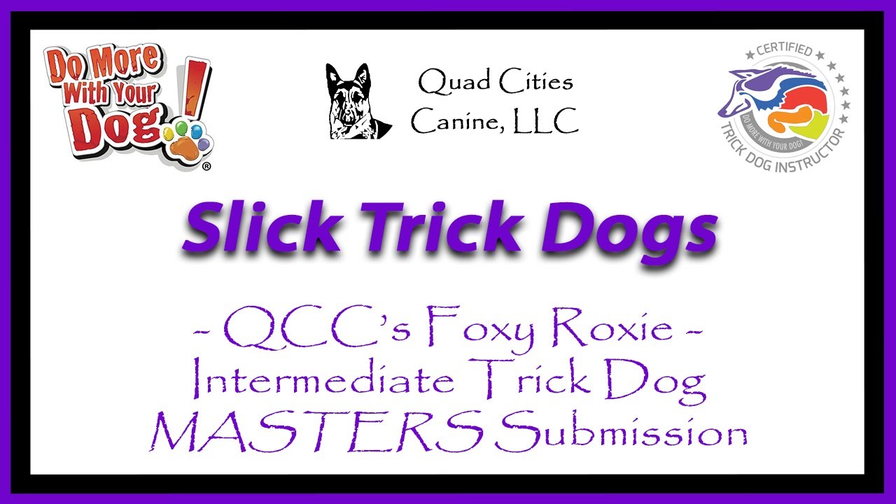 QCC's Foxy Roxie's ITD Masters Submission