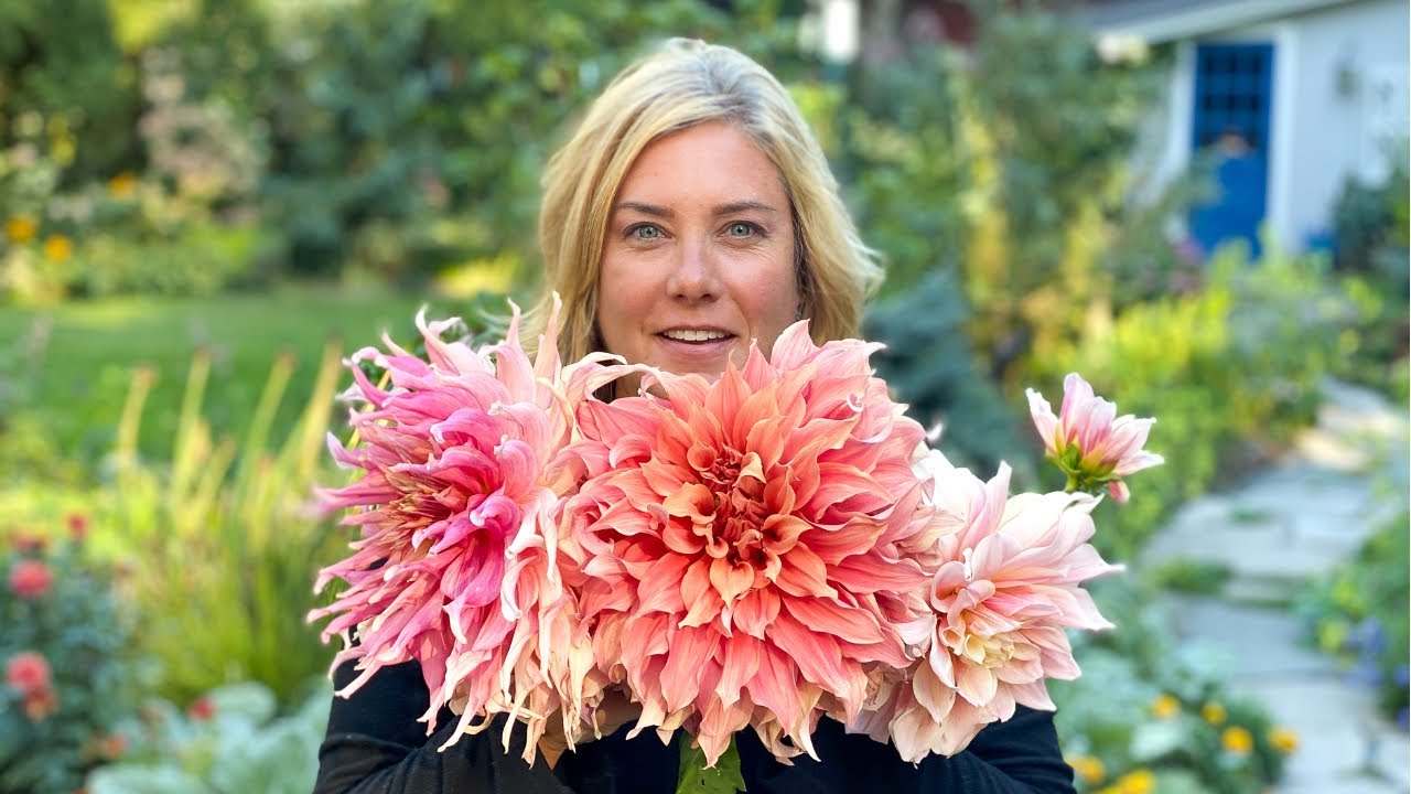 DAHLIA TOUR | You won't believe the size!