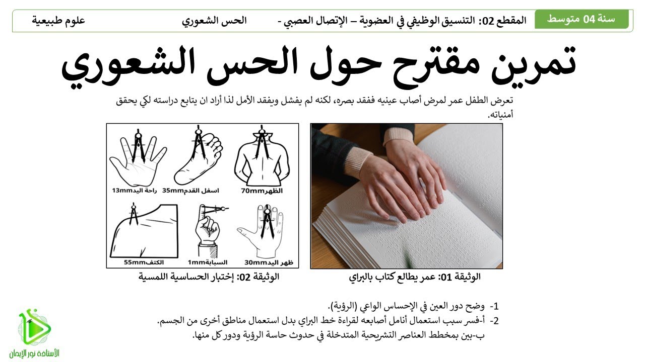 تمرين مقترح لشهادة التعليم المتوسط BEM -  الحس الشعوري - الرؤية واللمس - علوم طبيعية 04 متوسط