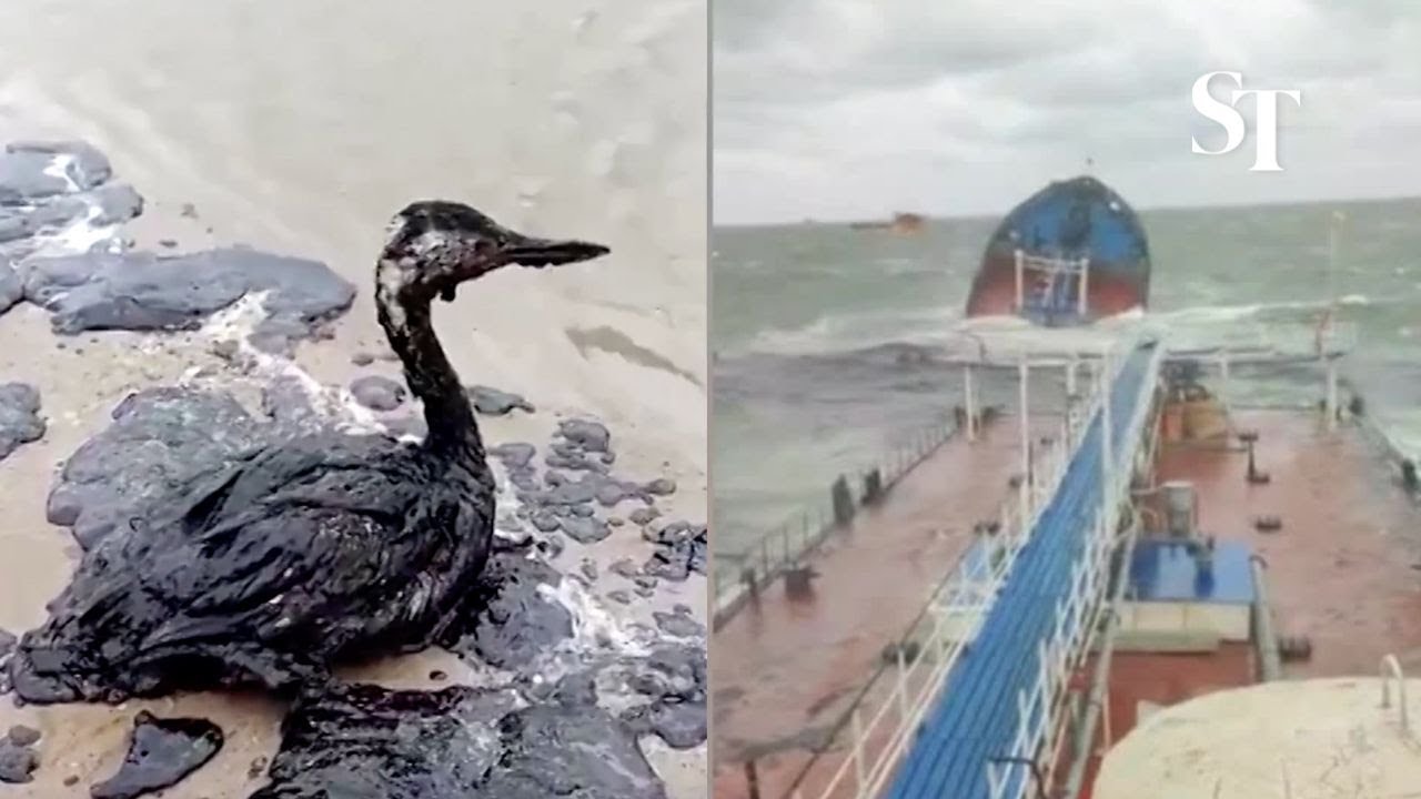 Oil coats Russia's Black Sea coast as three ships suffer storm damage