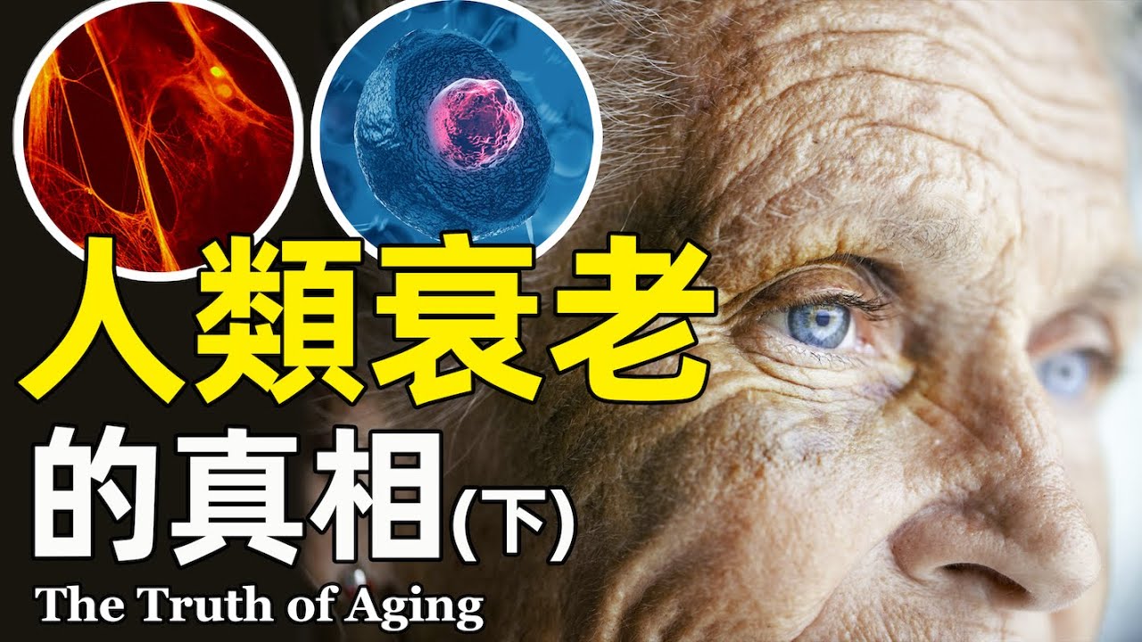 衰老之後是什麼？ 細胞老化的9大特徵解讀（下）【衰老系列03】｜愛看報的kris