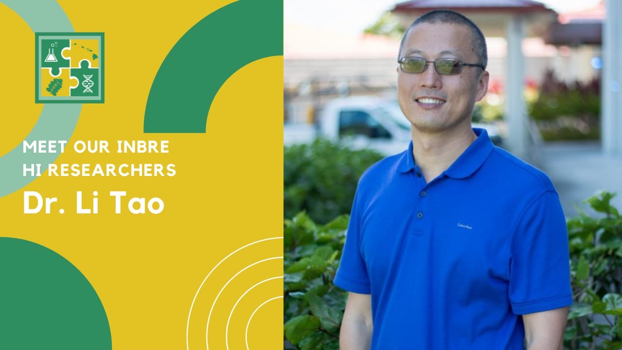 Meet our INBRE HI Researchers: Dr. Li Tao