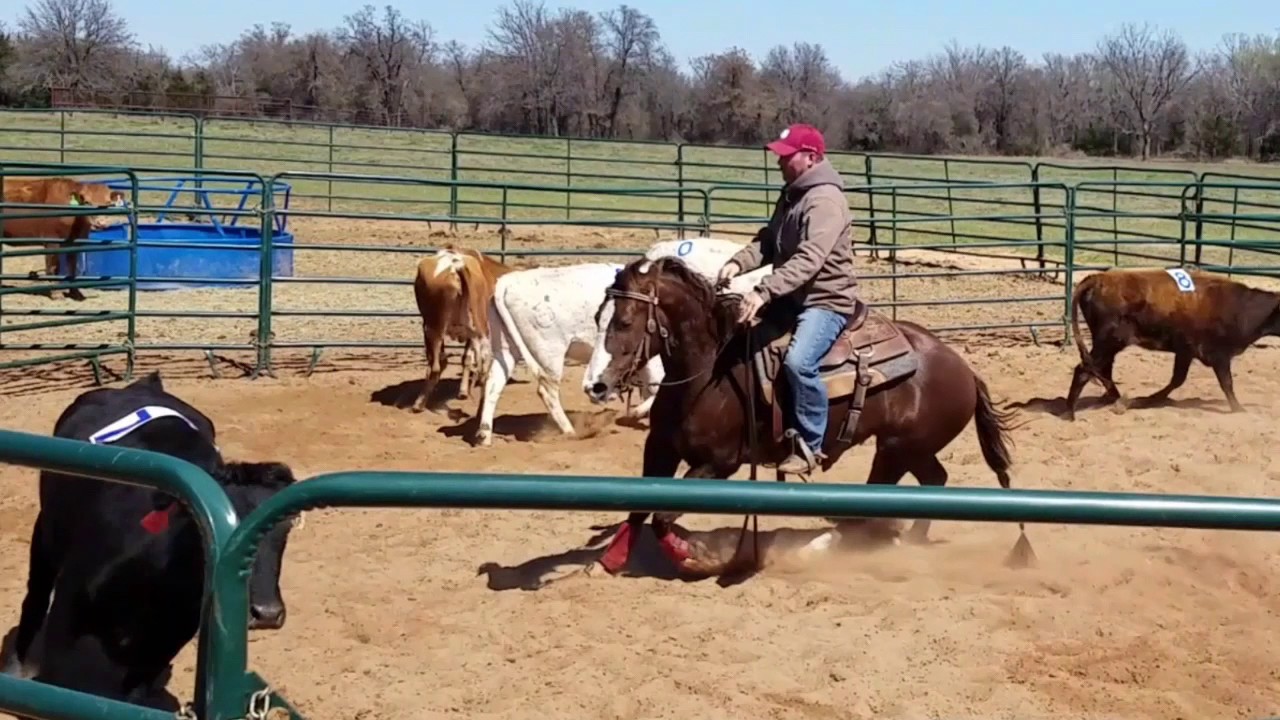 Lena Duck - Ranch Sorting