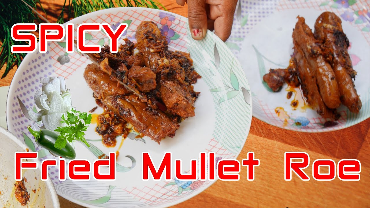 Spicy Fried Mullet (Khainga Fish) Roe (Eggs) |  Luxurious and Delicious Fish Roe Frying  | Bottarga