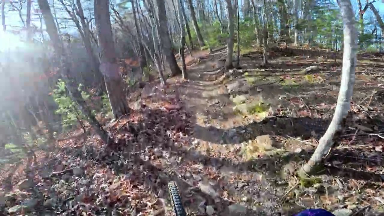 Vee Hollow   Full Ride in early December   NO sound