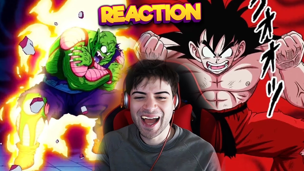 REGALO DI COMPLEANNO 😍 ROTTI DA PAURA 🤯 REACTION a GOKU vs PICCOLO JR. 23WT DOKKAN BATTLE ITA