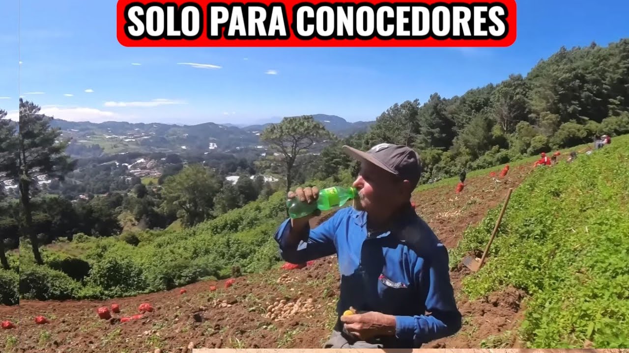 MUCHOS LLEVARON COMIDA ASI Y DE SEGURO SE IDENTIFICARAN CON ESTE VIDEO