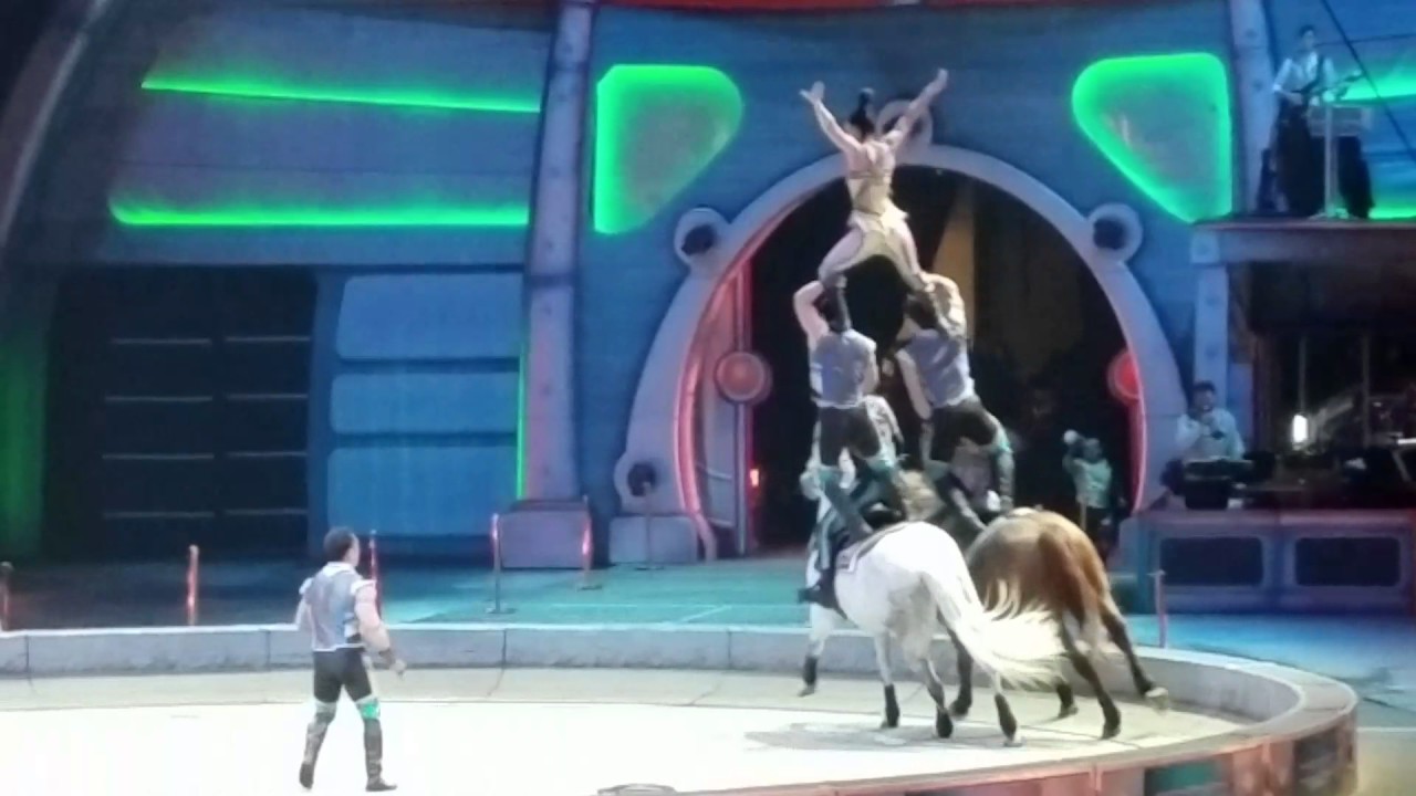 Circus horses