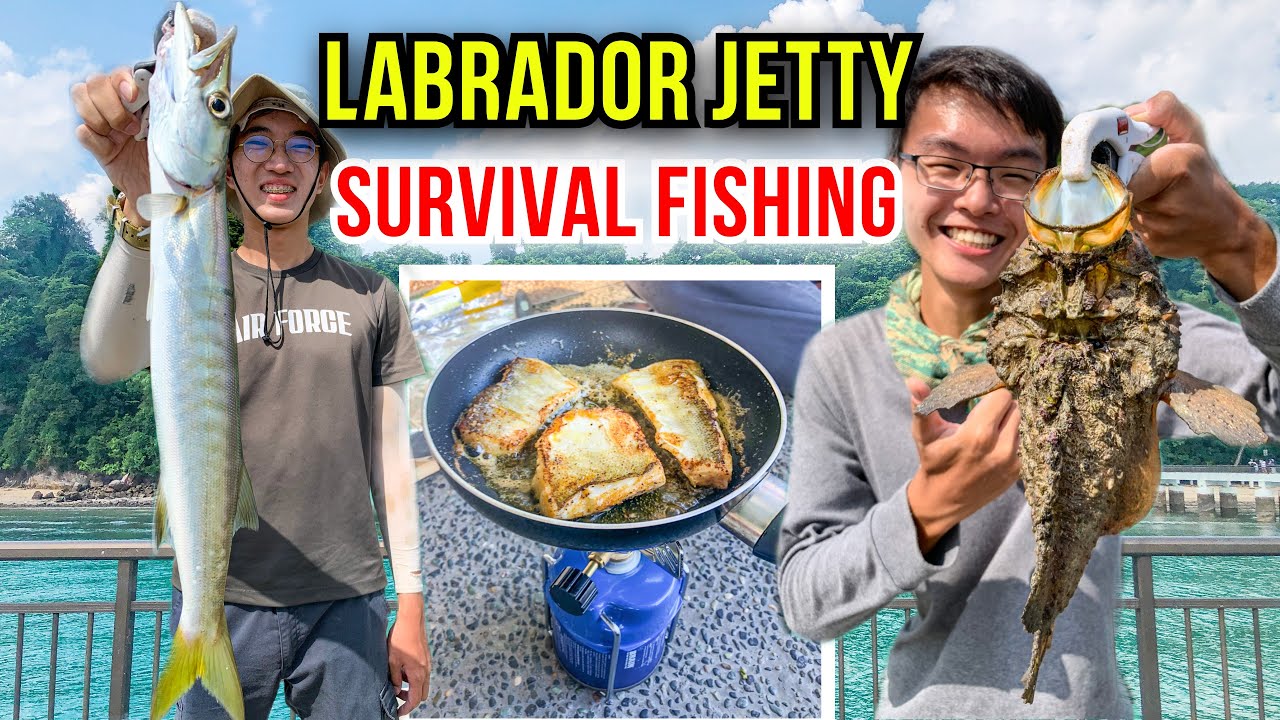 SURVIVAL Fishing at Labrador Park Jetty | Catch and Cook | Most Venomous Fish...