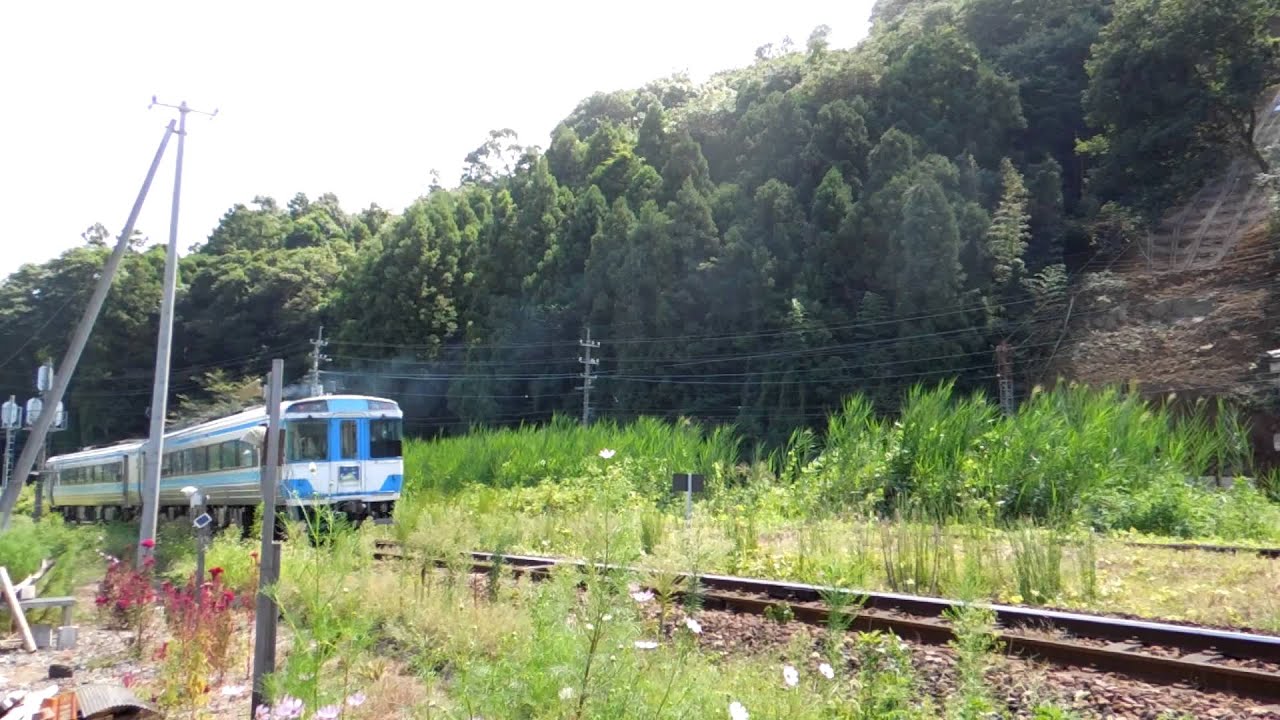 キハ185系特急剣山4号 阿波池田～佃 Limited Express 