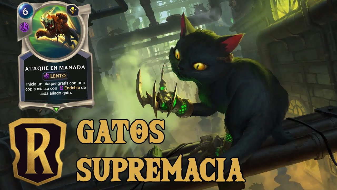 🐱 Mazo Gatos con Zilean & Ekko | Eterno | Gatitos ultra meme | LoR