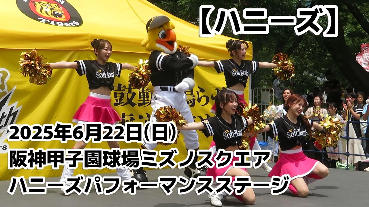 【ハニーズ】2025/06/22 パフォーマンスステージ