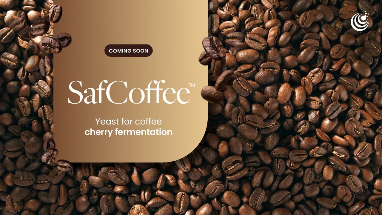 𝐅𝐞𝐫𝐦𝐞𝐧𝐭𝐢𝐬 𝐥𝐚𝐮𝐧𝐜𝐡𝐞𝐬 𝐒𝐚𝐟𝐂𝐨𝐟𝐟𝐞𝐞&trade; 𝐫𝐚𝐧𝐠𝐞 of innovative products for coffee cherry fermentation