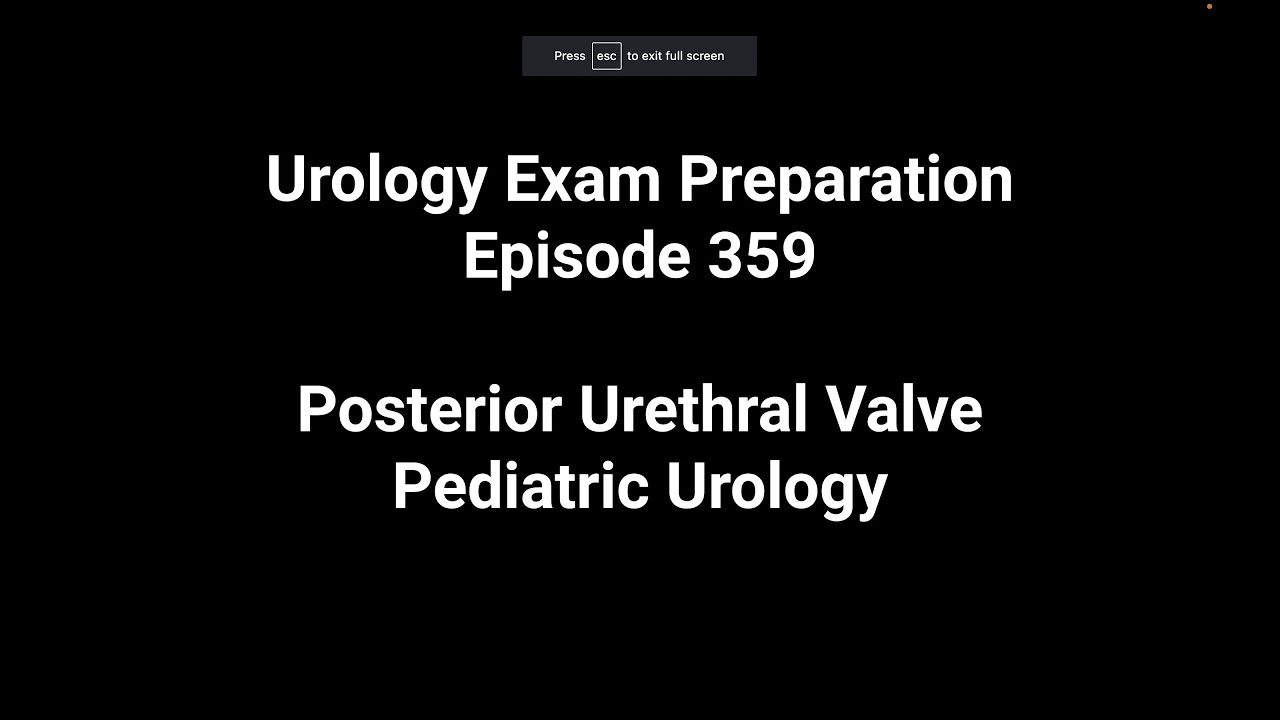 359 Posterior Urethral Valve; Pediatric Urology