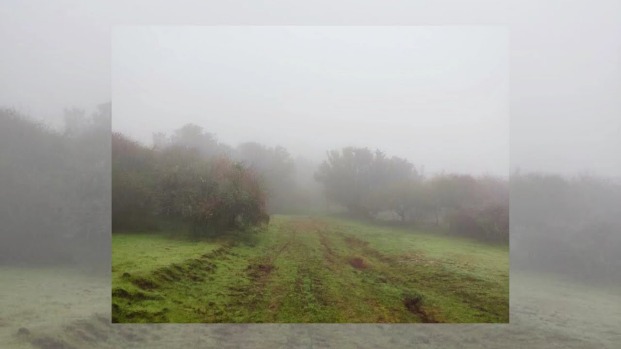 ✿ relax, you are safe here  -  a core core playlist w/ rain ambience ⭐