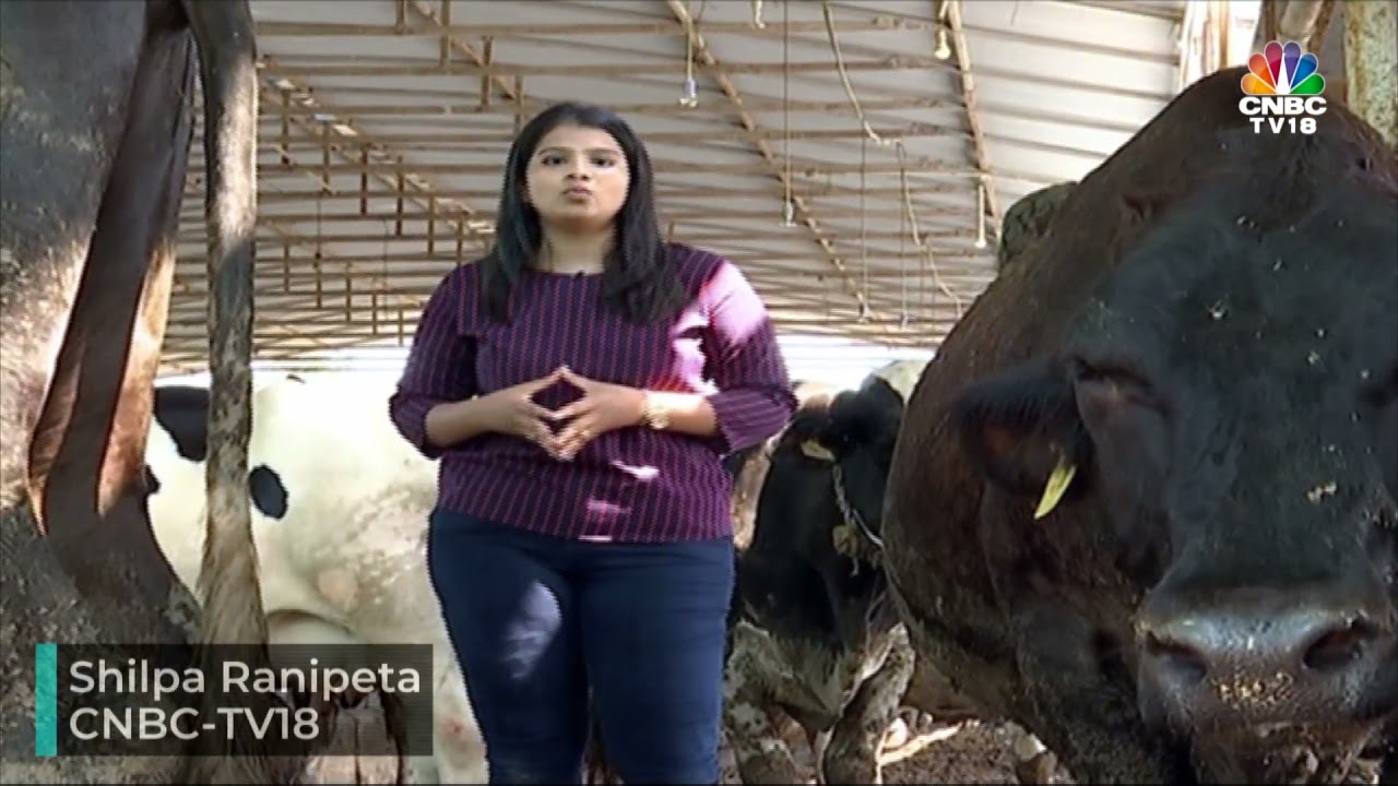 CNBC-TV18 Ground Report | Amul's Export Push