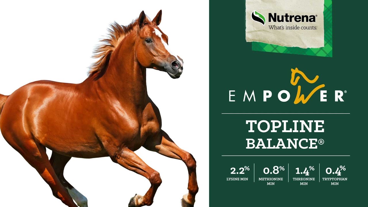 Nutrena Empower Topline Balance Diet Balancer
