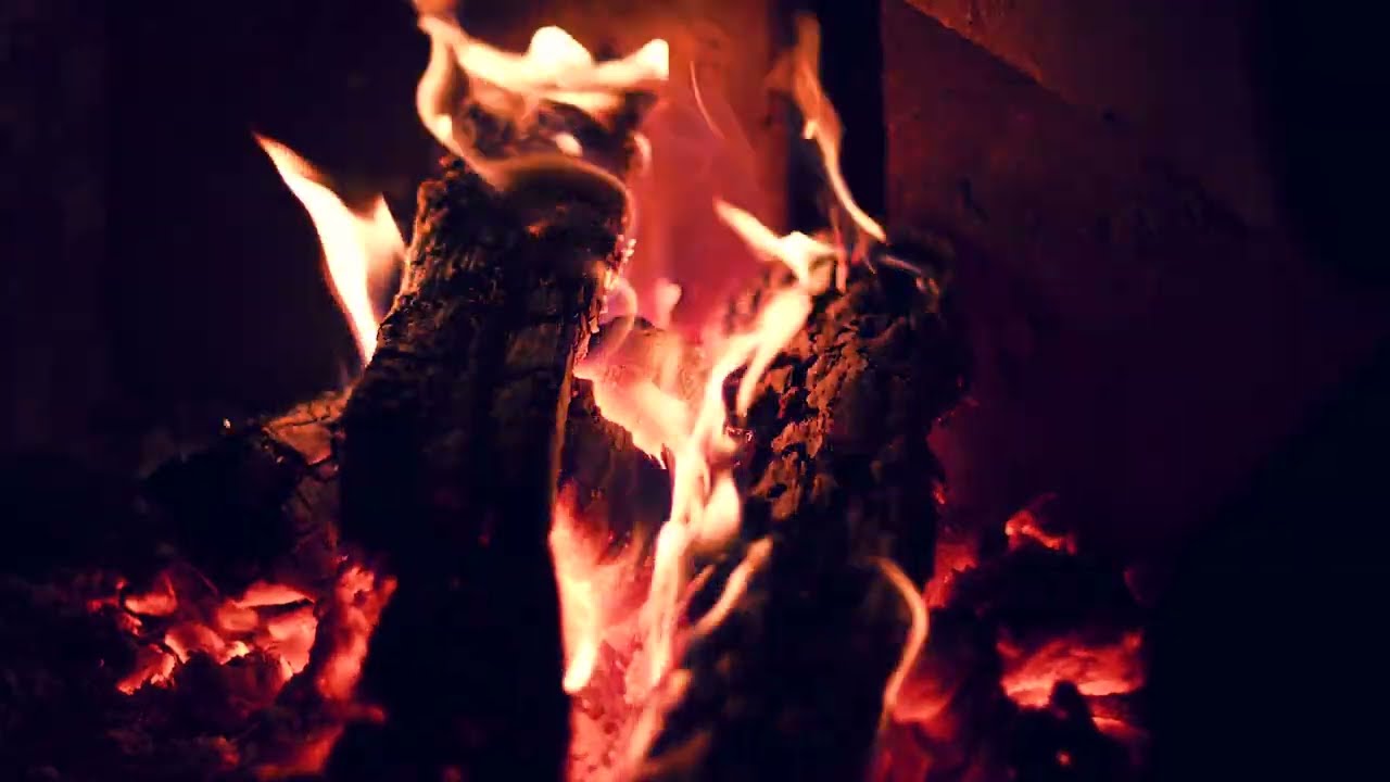 Campfire by Water at Night | 1 Hour of Stillness | Stillness Ambient