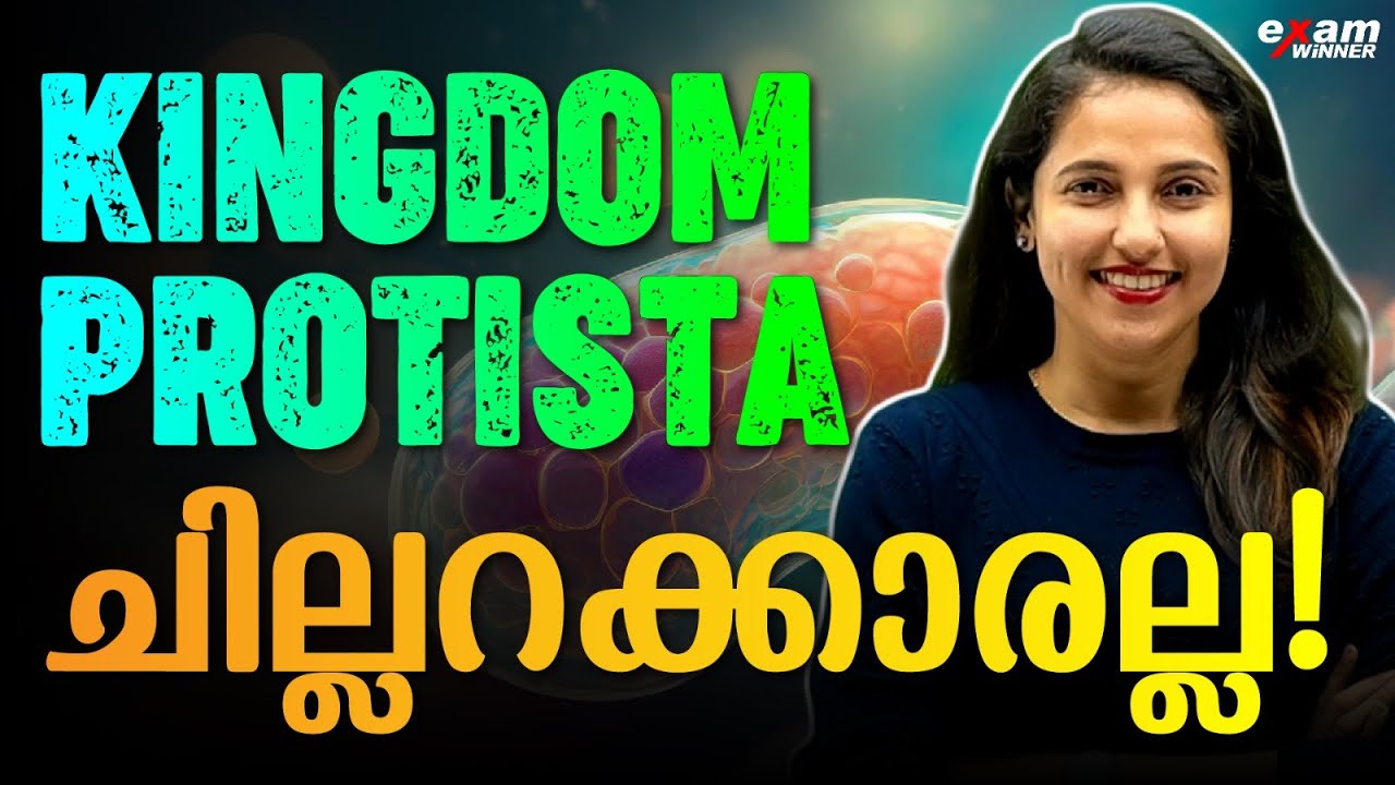 Plus one Biology | Biological Clasification | Chapter 1 | Kingdom Protista | Exam Winner +1