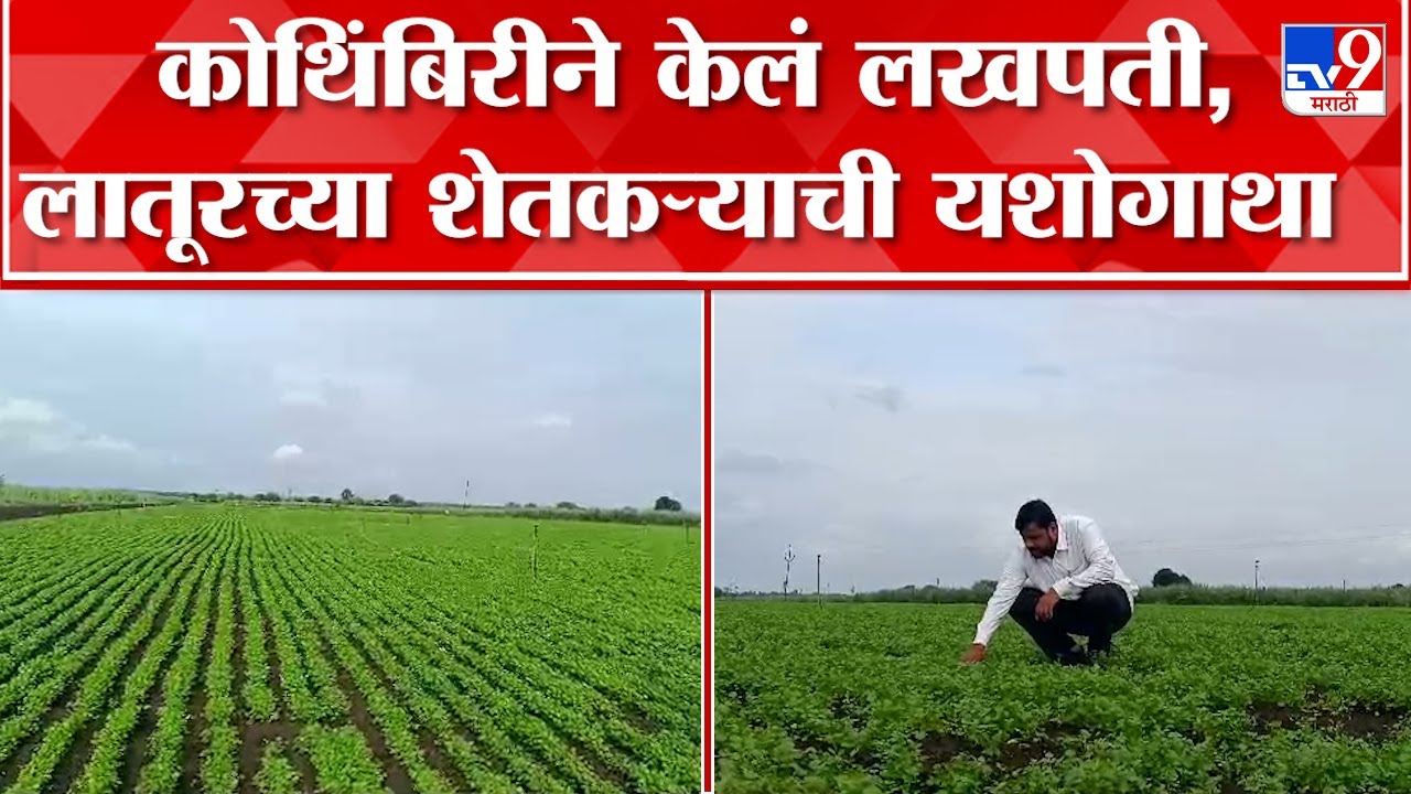 Farmer Succes Story: कोथिंबिरीच्या उत्पादनातून कोटींची कमाई,शेतकऱ्याची यशोगाथा ऐका त्याच्याच तोंडून