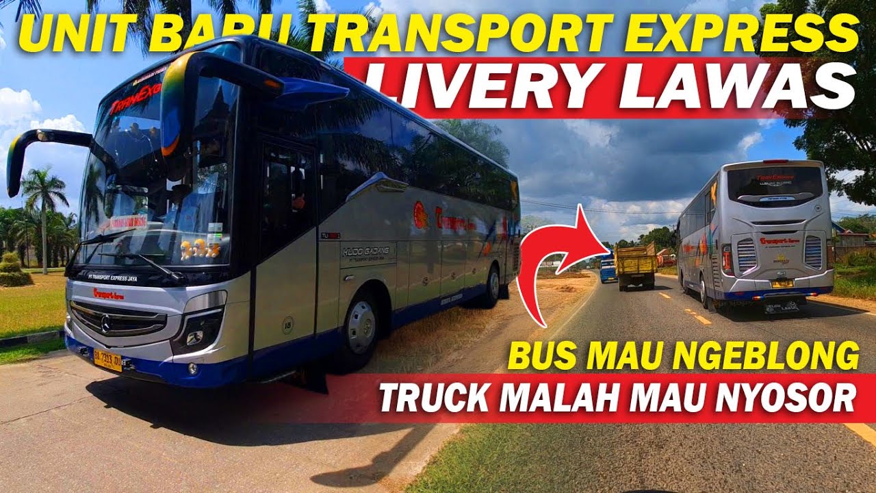 Masih Kinyis - kinyis Bus Tranex Livery Lawas Di Geber Makin Mantap