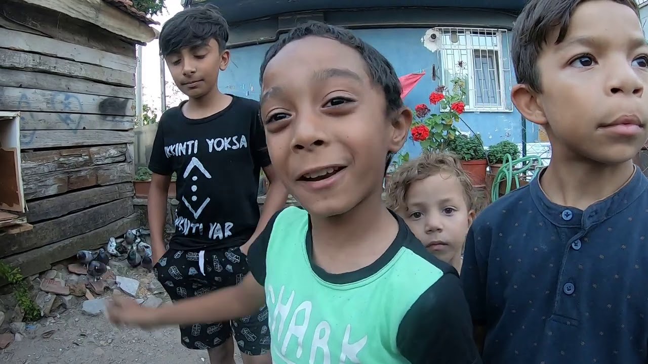 Romen Ramazanın Kümese İhtiyacı Var, Destek İstiyoruz. Derince Güvercin Kümesleri