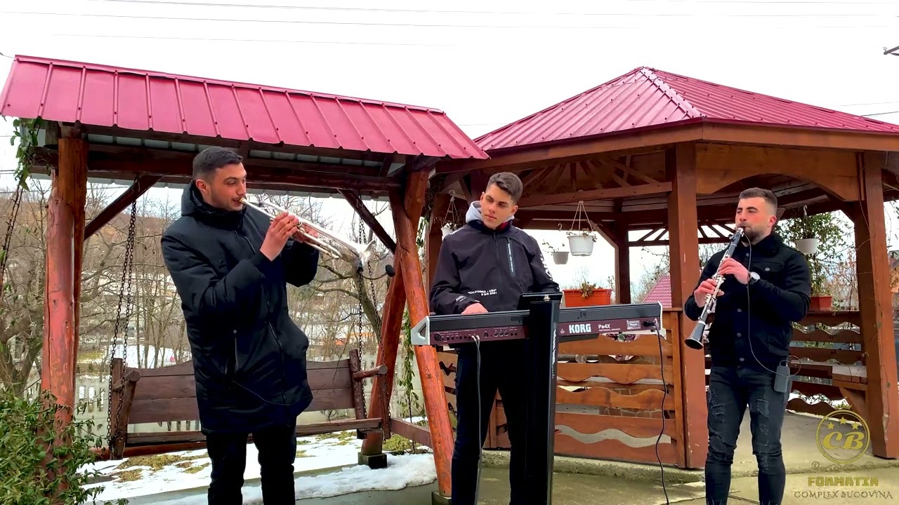 COLAJ INSTRUMENTAL - FORMATIA COMPLEX BUCOVINA - NOU 2022