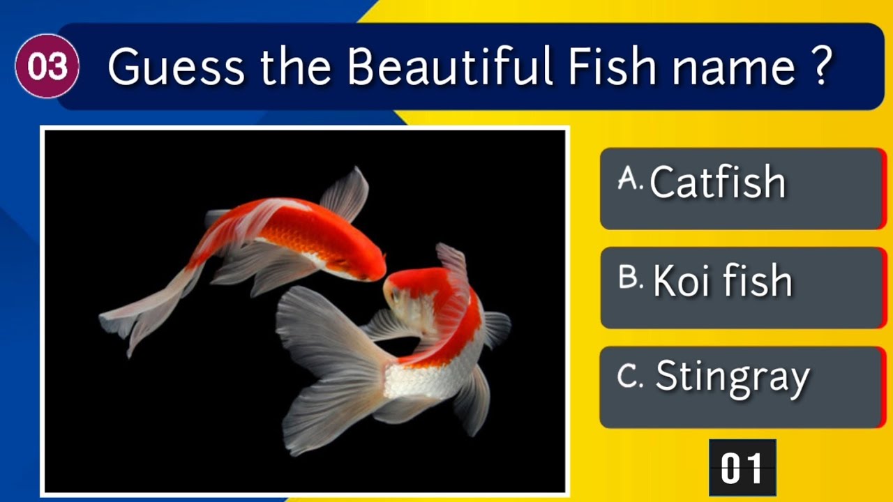 Fish Quiz Questions And Answers | Quiz challenge on Fish