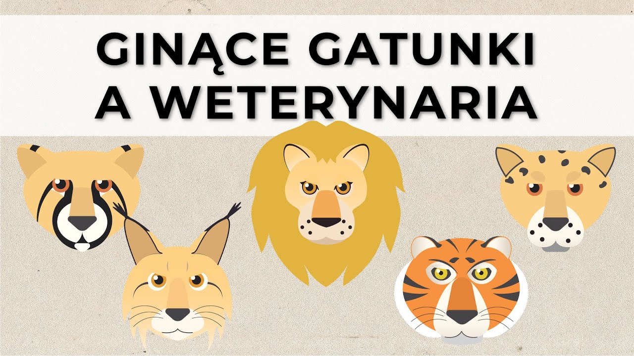 Zoonozy i zwierzęta zagrożone wyginięciem? | Wiemy jak #2