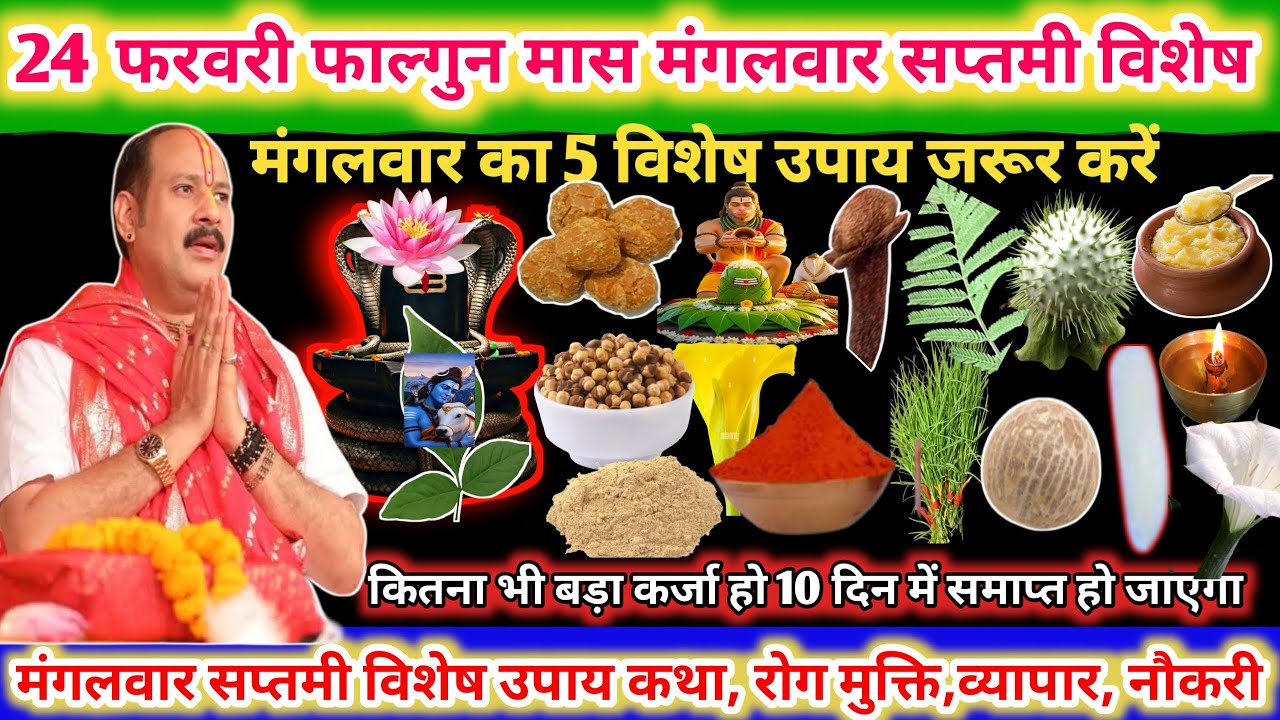 24 फरवरी फाल्गुन मास मंगलवार सप्तमी विशेष। मंगलवार का 5 विशेष उपाय जरूर करें 🌺🌹#upay#pradeepmishra 