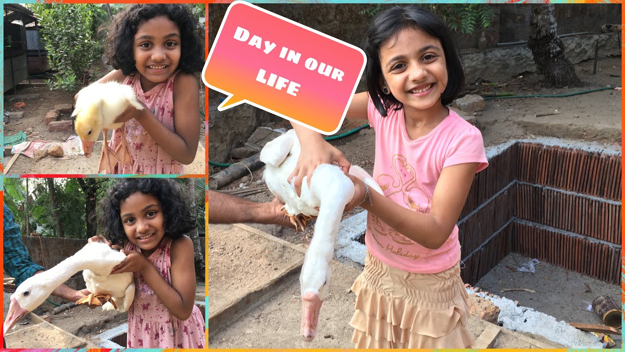Day In Our Life..Twins World..Video 8..#twinsworld#dayinourlife#