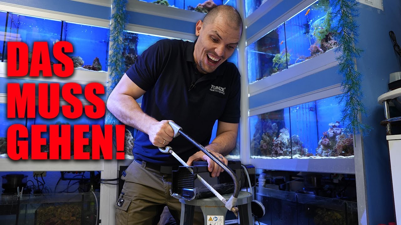 Ren&eacute; benutzt TUNZE fast nur im S&uuml;&szlig;wasser?! - AQUARISTIK-Laden in der Schweiz
