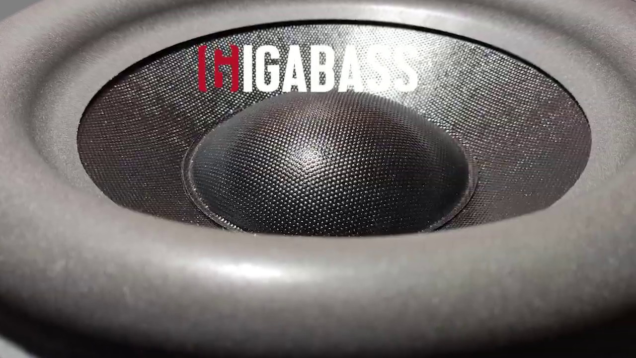 Gigabass Subwoofer Woofer Cooker Test | Massive Excursion from 10