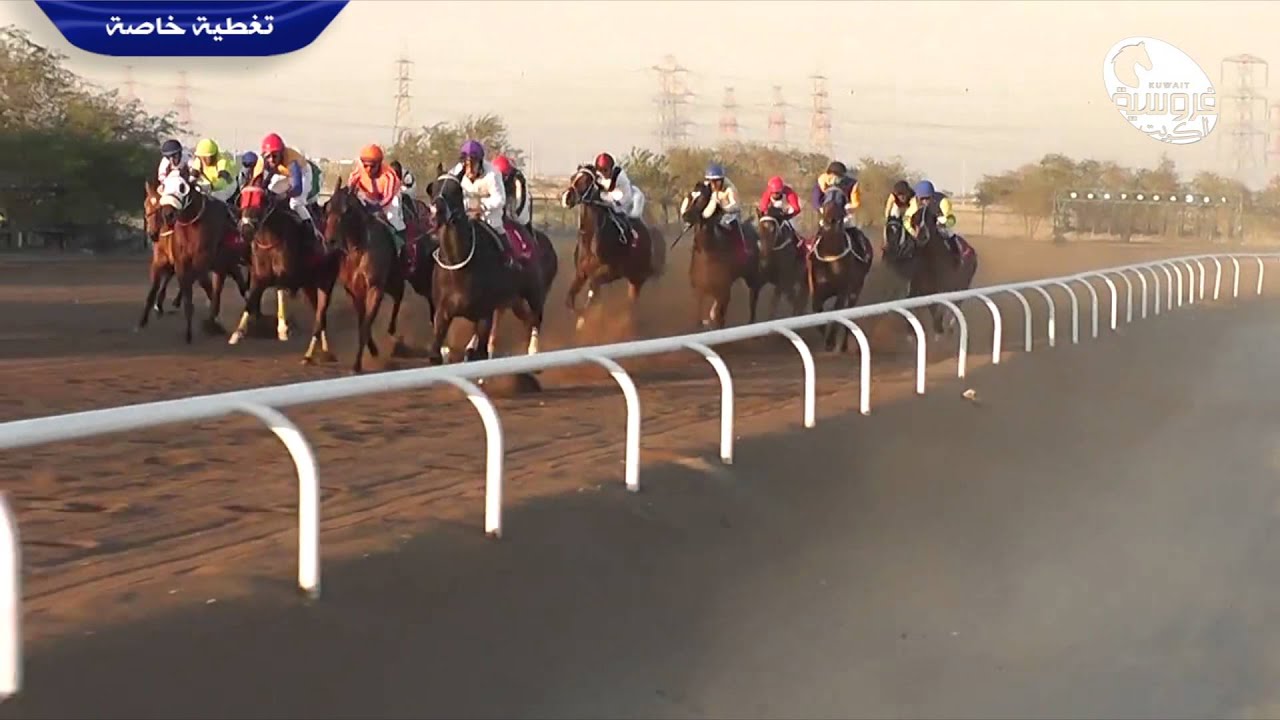 تغطية خاصة | الإجتماع١٣ كأس سمو ولي العهد - فروسية الأحمدي