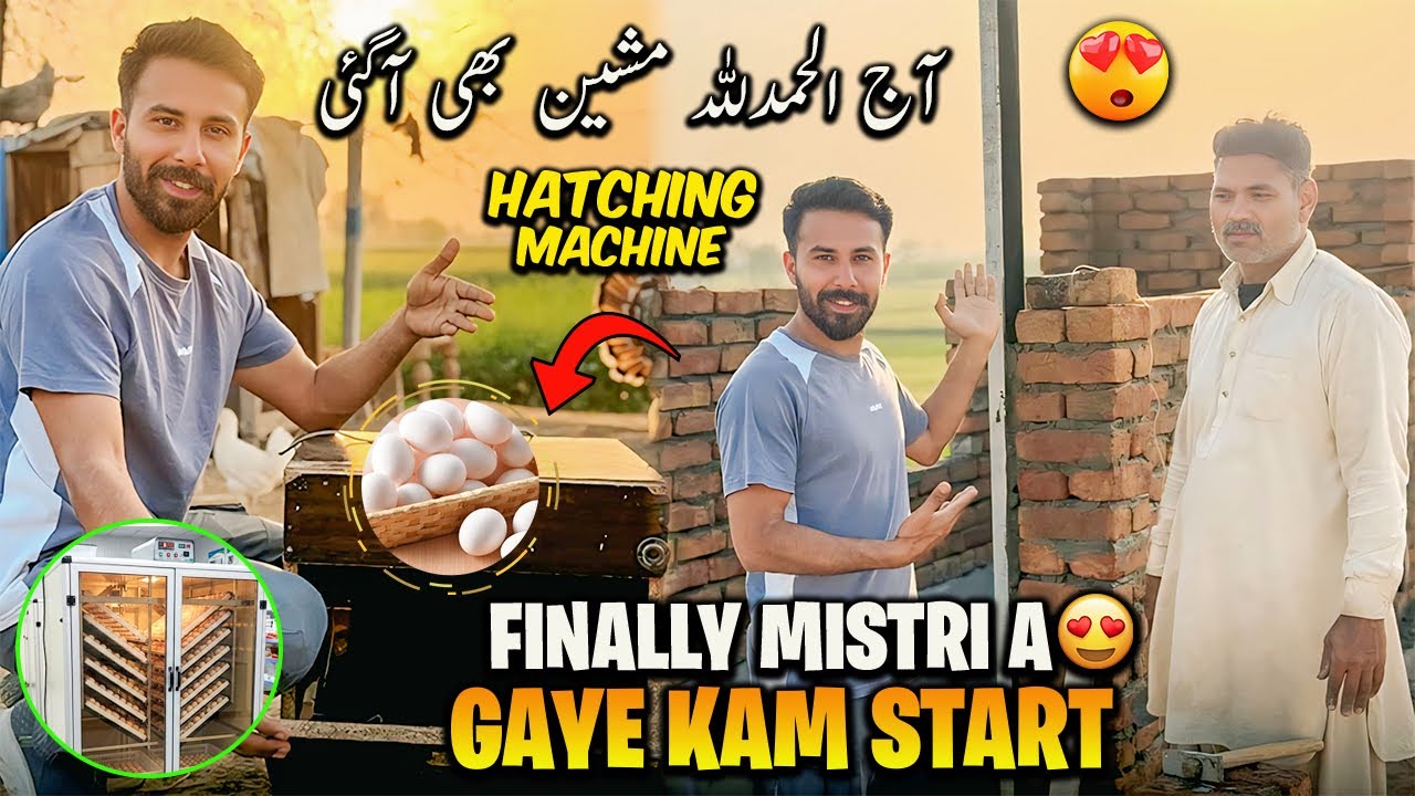 Finally Mistri Aagaye Kam Start😍 مشین بھی آگئ بچے نکالنے والی 🦃🐓