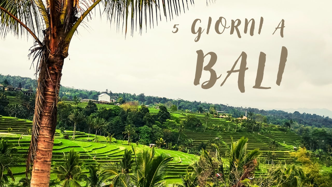 BALI INDONESIA | Cosa vedere in 5 giorni
