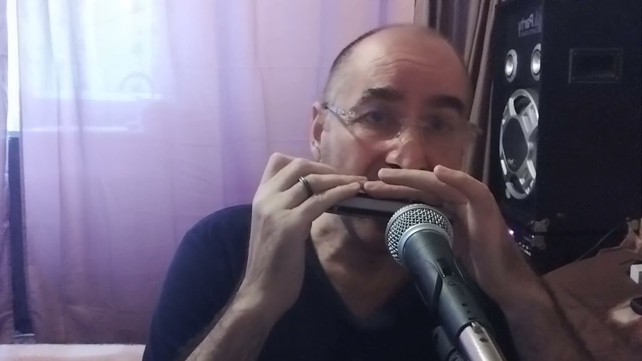 Hora muzicuțelor!