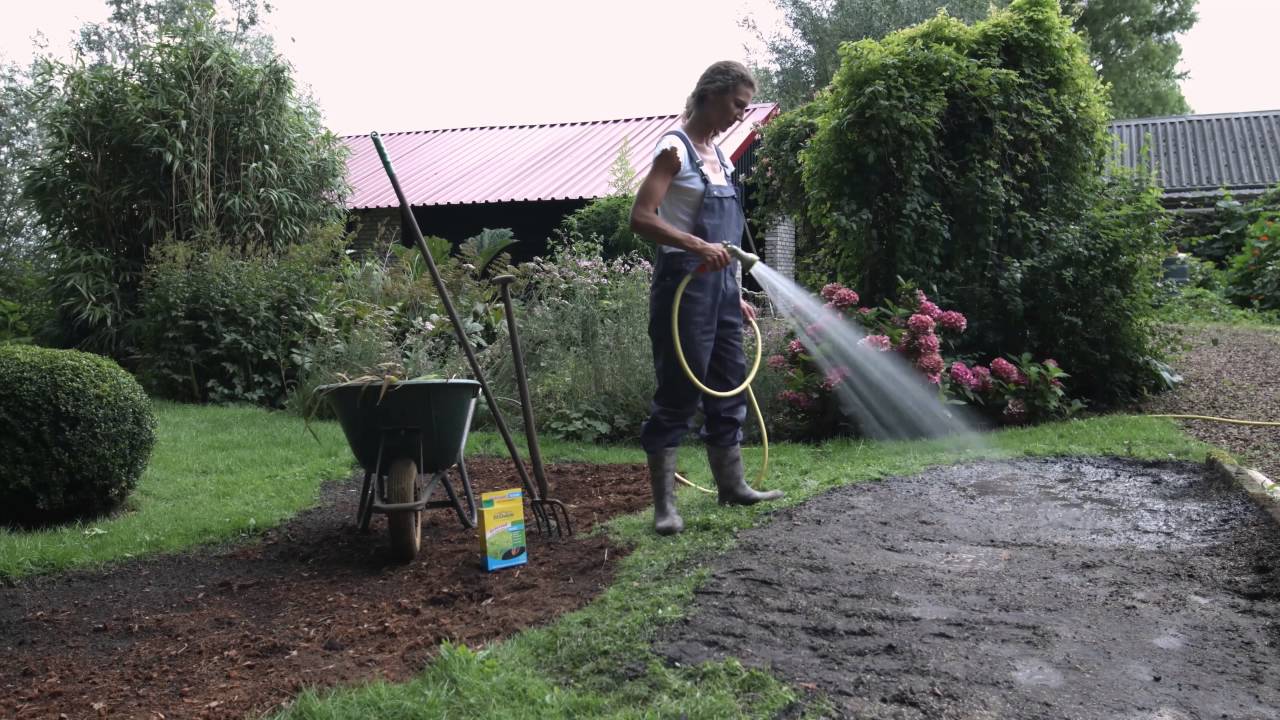 ECOstyle Gazon inzaaien: hoe zaai je een nieuw gazon in