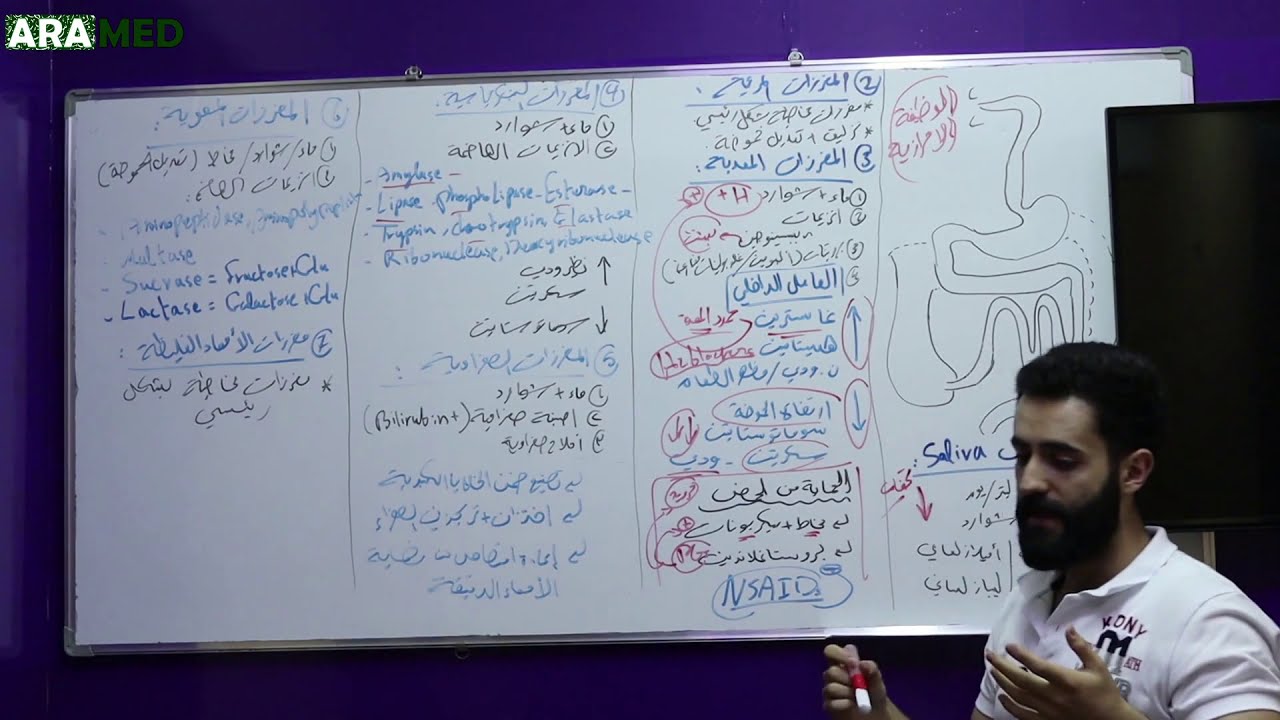 فيزيولوجيا الجهاز الهضمي GI Physiology - 2