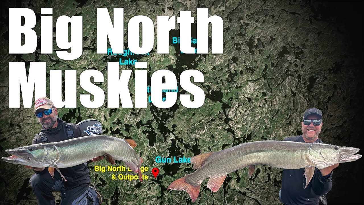 Big North Muskies