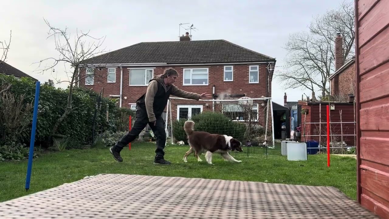 Thor training session  Away . 